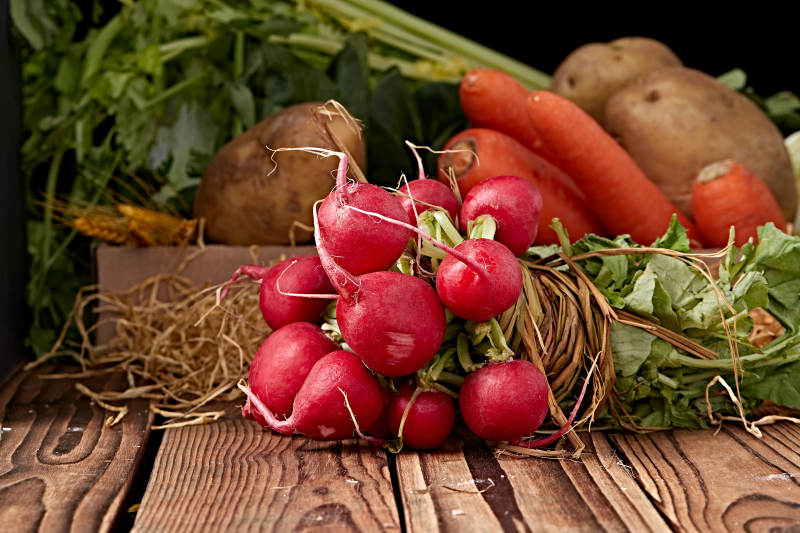 新鲜采摘有机蔬菜樱桃水萝卜图片