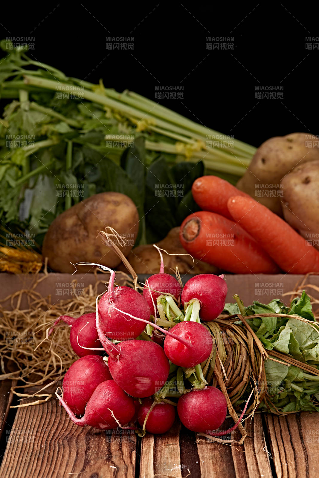 新鲜采摘有机蔬菜樱桃水萝卜图片