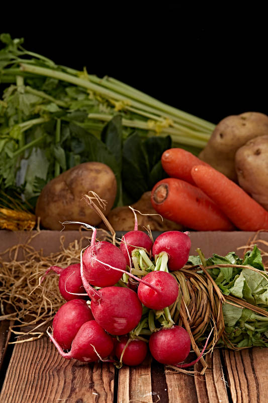 新鲜采摘有机蔬菜樱桃水萝卜图片