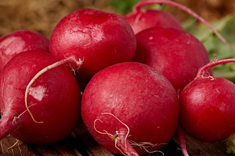 新鲜采摘有机蔬菜樱桃水萝卜图片