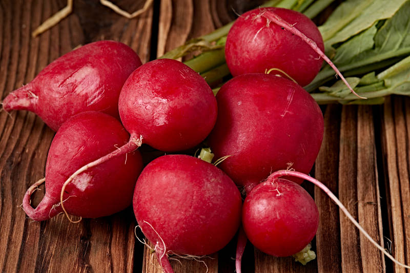 新鲜采摘有机蔬菜樱桃水萝卜图片