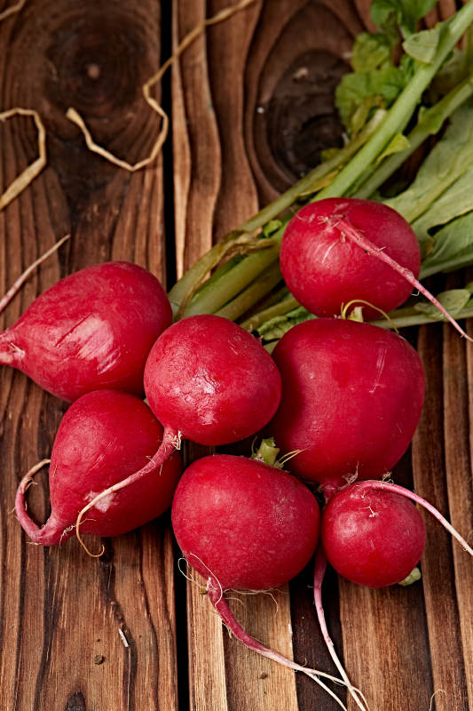 新鲜采摘有机蔬菜樱桃水萝卜图片