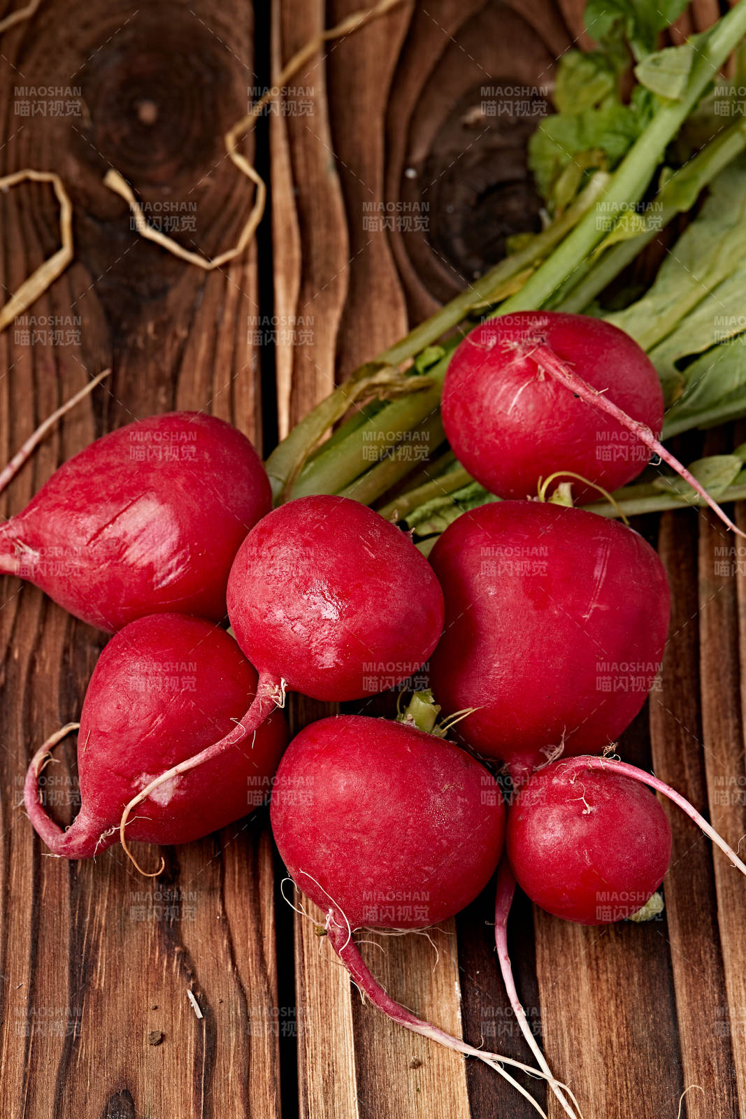 新鲜采摘有机蔬菜樱桃水萝卜图片