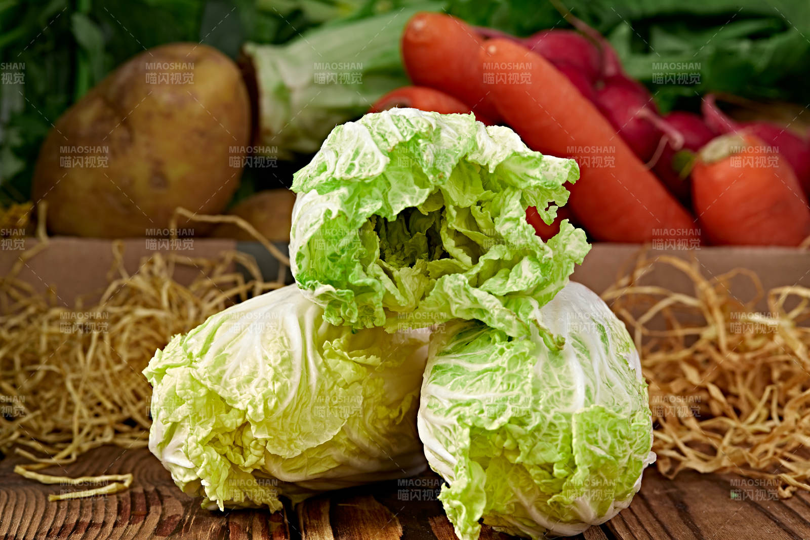 新鲜采摘有机蔬菜娃娃菜图片