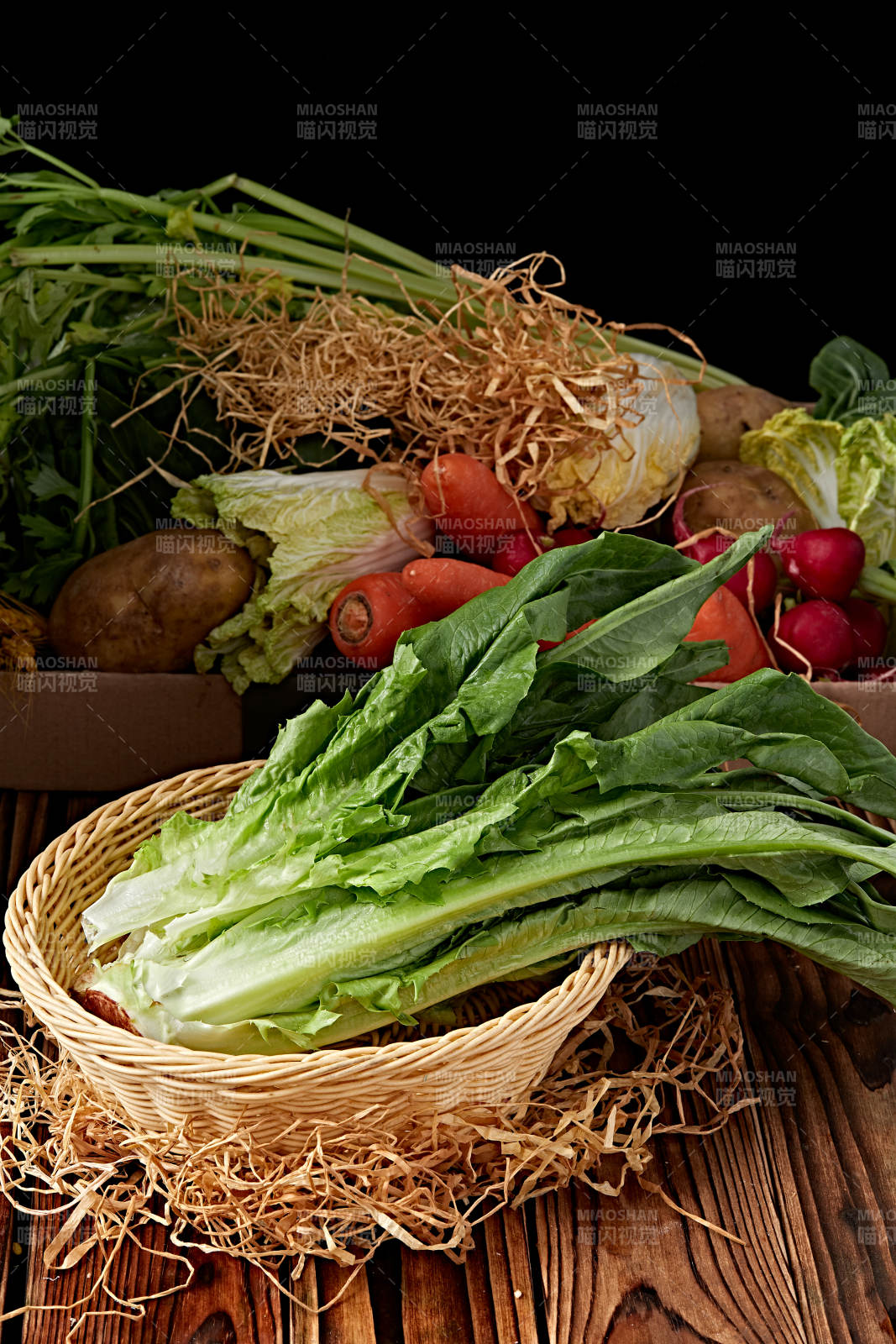 新鲜采摘有机蔬菜油麦菜图片