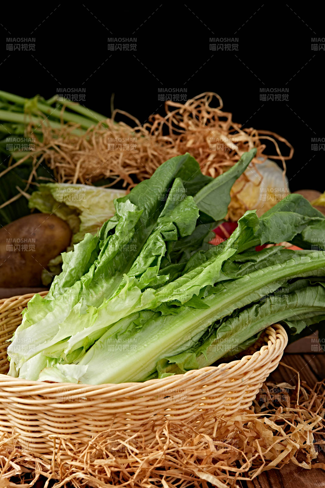 新鲜采摘有机蔬菜油麦菜图片