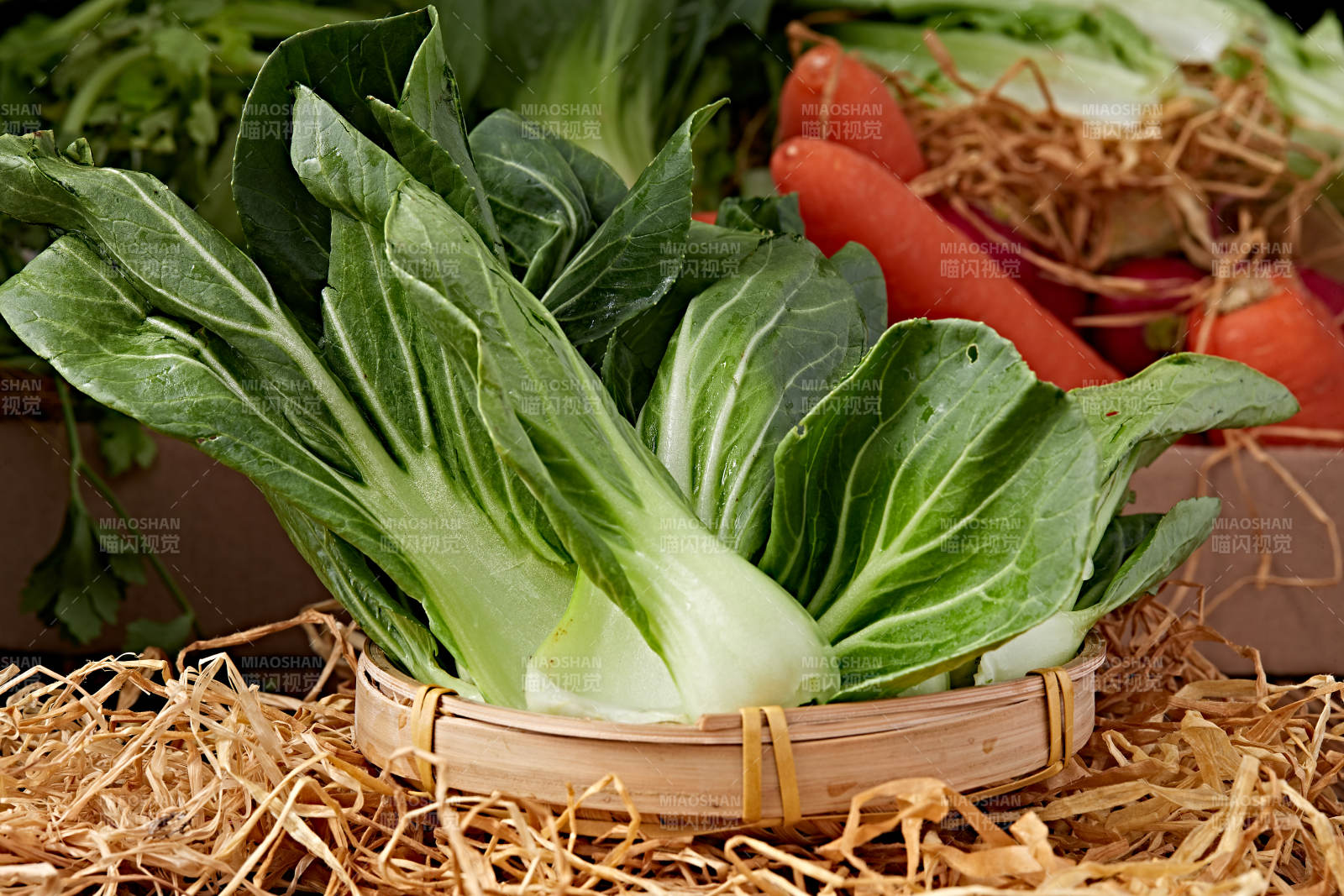 新鲜采摘有机青菜油菜图片