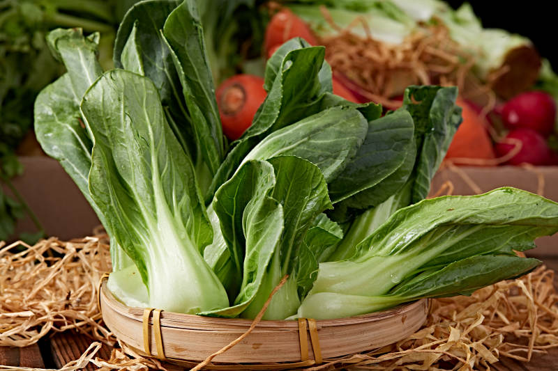 新鲜采摘有机青菜油菜图片