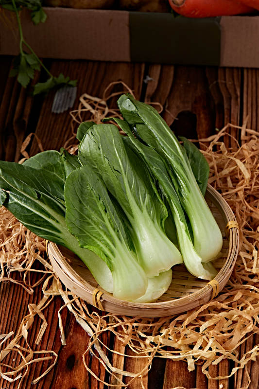 新鲜采摘有机青菜油菜图片