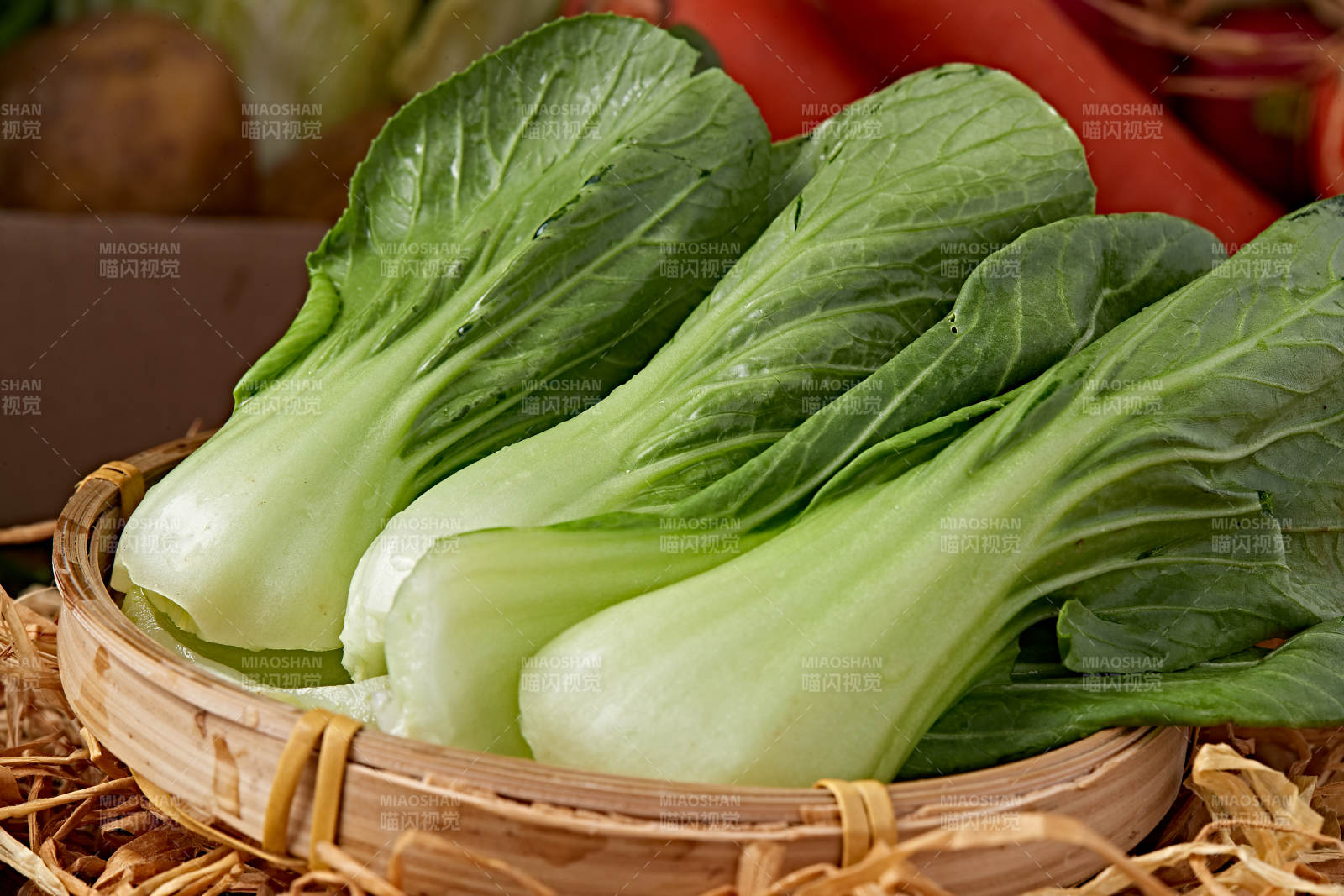 新鲜采摘有机青菜油菜图片