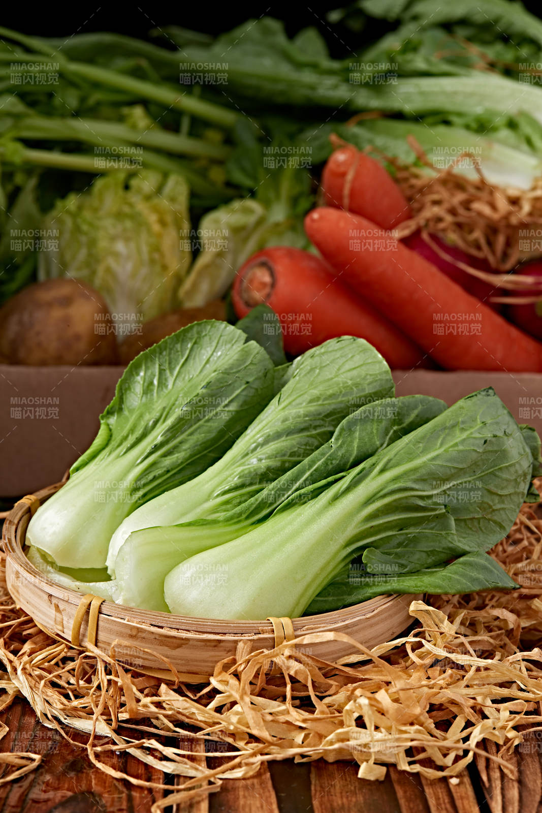 新鲜采摘有机青菜油菜图片