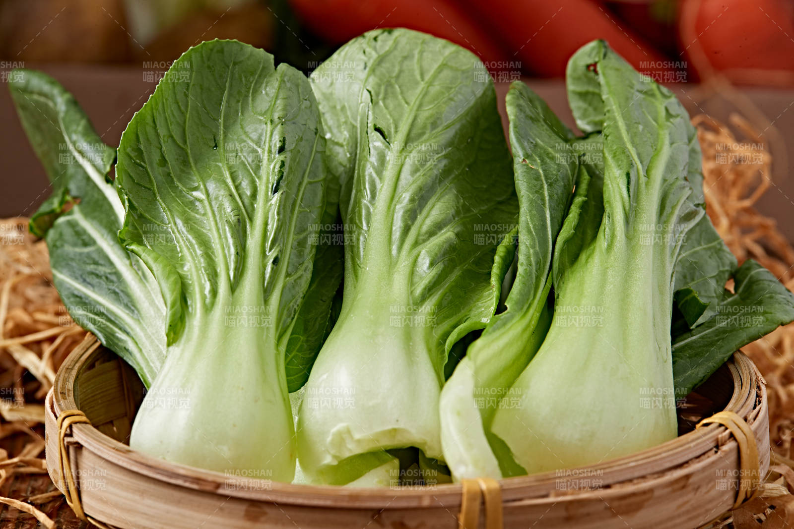 新鲜采摘有机青菜油菜图片