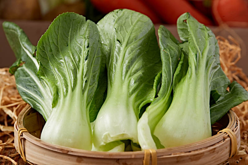 新鲜采摘有机青菜油菜图片