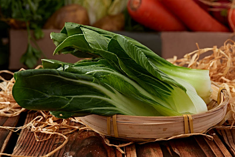 新鲜采摘有机青菜油菜图片