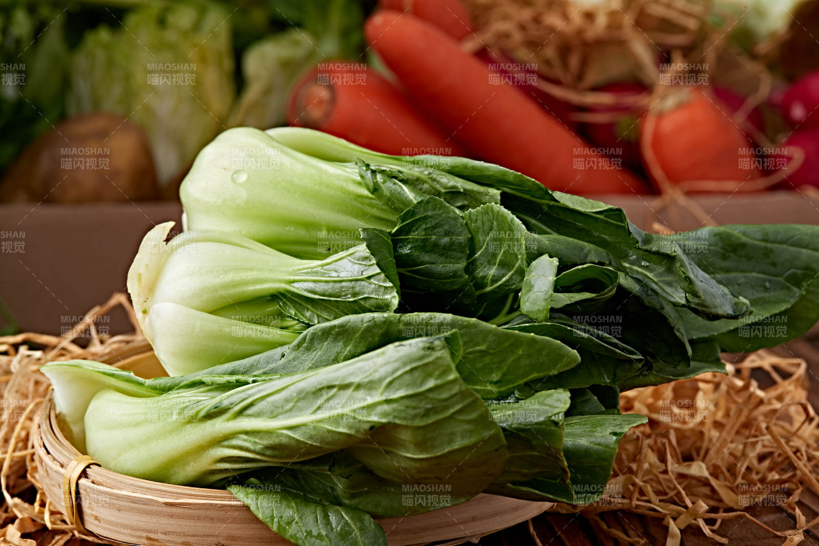 新鲜采摘有机青菜油菜图片