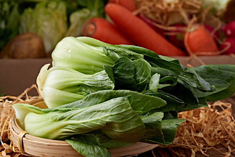 新鲜采摘有机青菜油菜图片