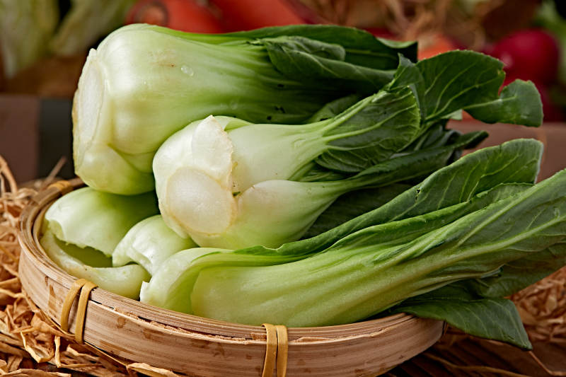 新鲜采摘有机青菜油菜图片