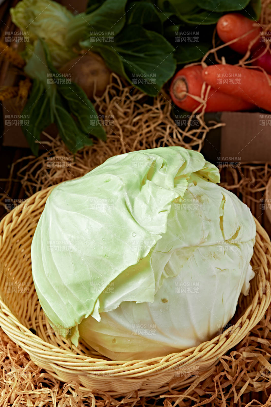 新鲜采摘有机蔬菜圆白菜图片