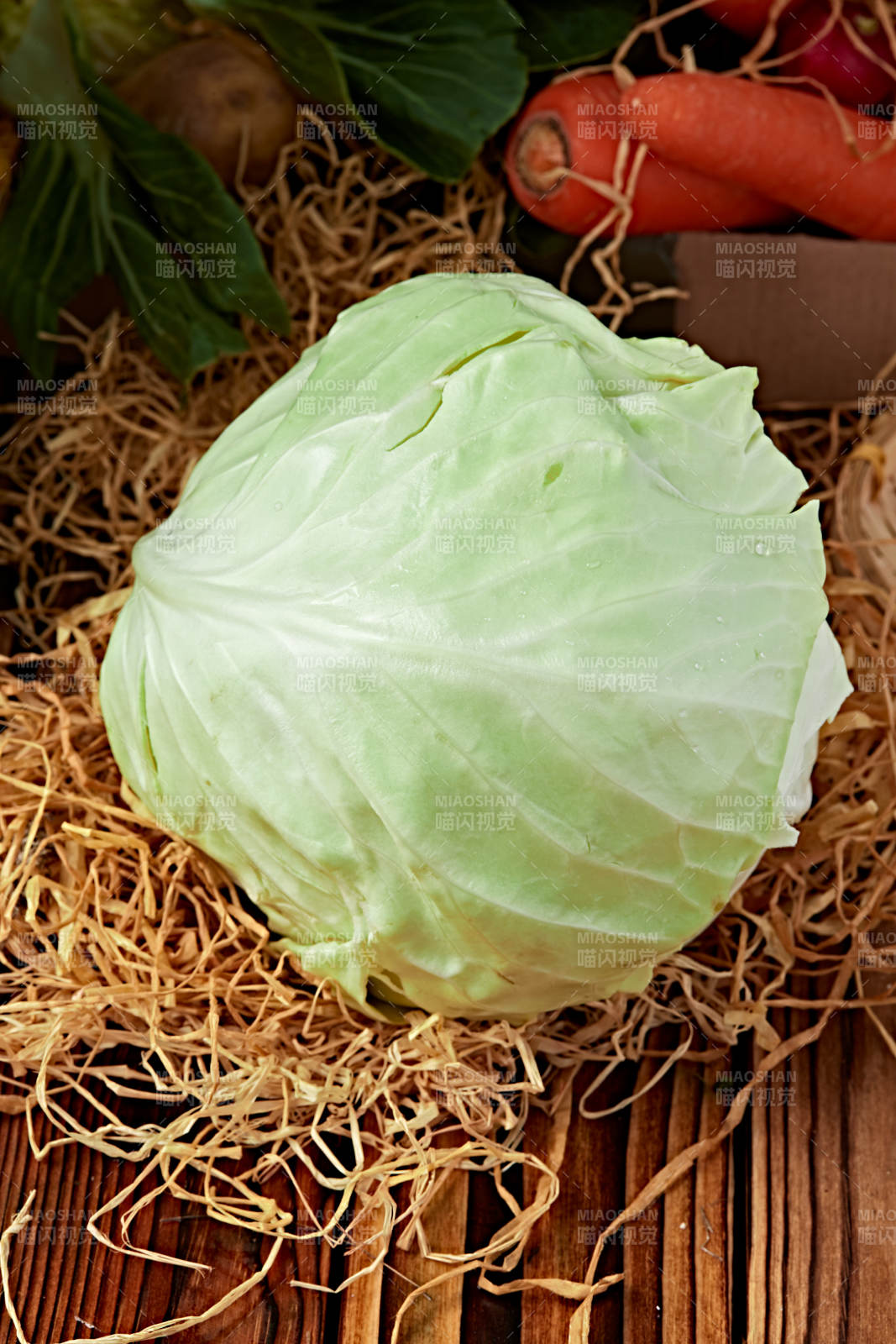 新鲜采摘有机蔬菜圆白菜图片