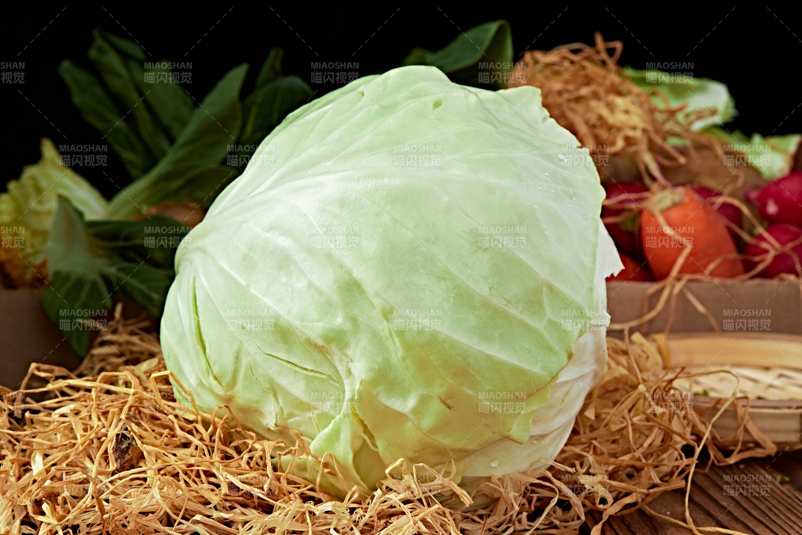 新鲜采摘有机蔬菜圆白菜图片