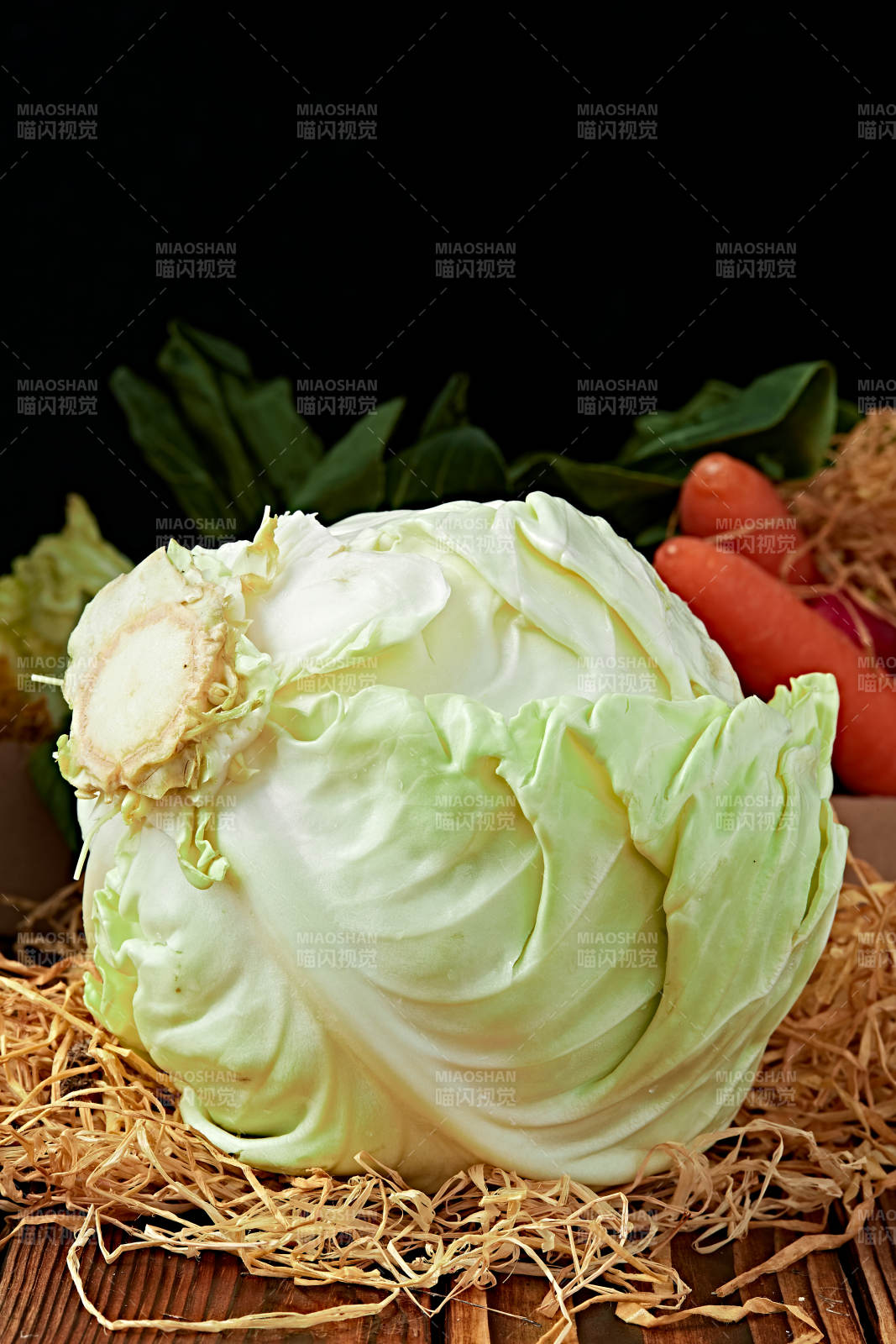 新鲜采摘有机蔬菜圆白菜图片