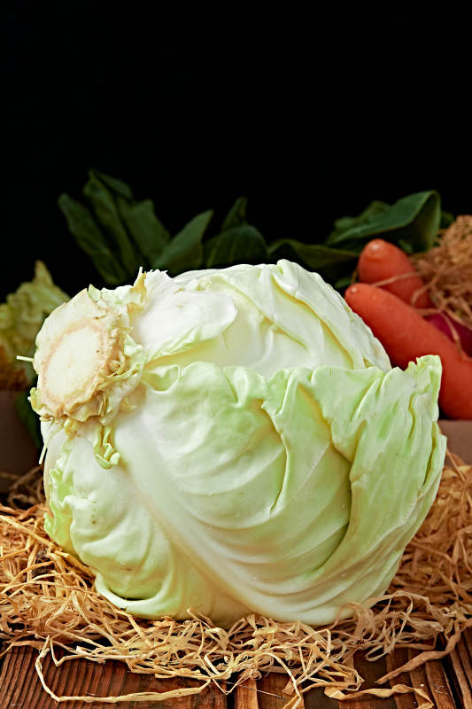 新鲜采摘有机蔬菜圆白菜图片