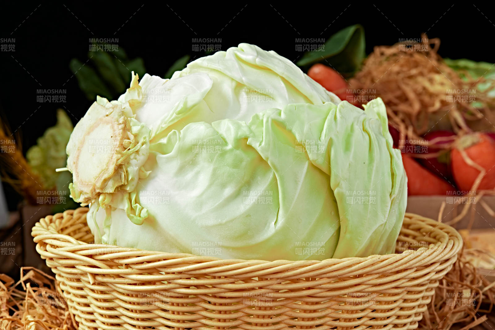 新鲜采摘有机蔬菜圆白菜图片