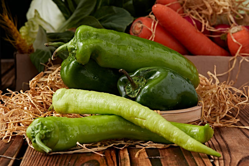 新鲜采摘有机蔬菜青辣椒菜椒图片