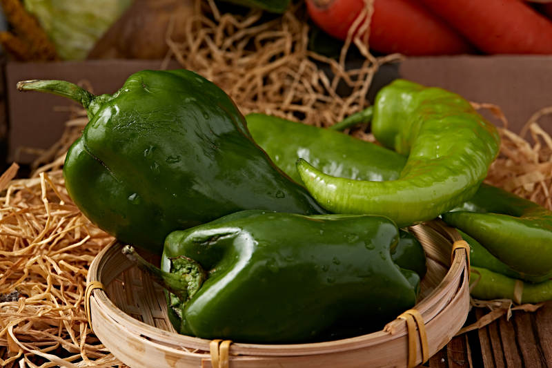 新鲜采摘有机蔬菜青辣椒菜椒图片