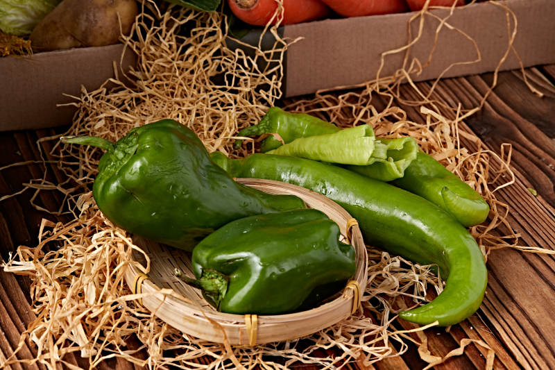 新鲜采摘有机蔬菜青辣椒菜椒图片