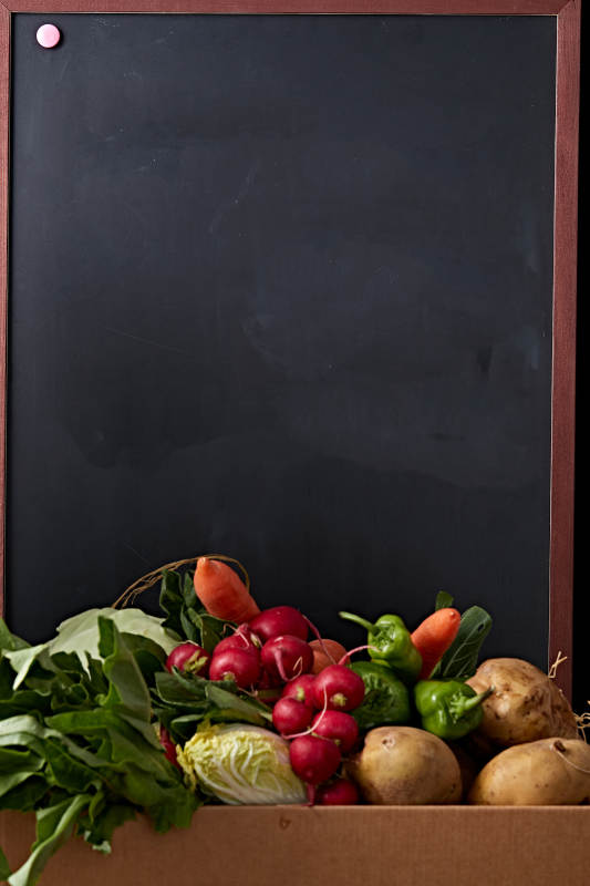 一堆农场新鲜采摘蔬菜图片