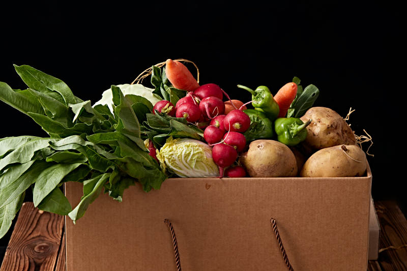 一堆农场新鲜采摘蔬菜图片