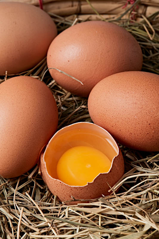 被草团拥抱的营养丰富味道鲜美的油鸡蛋图片