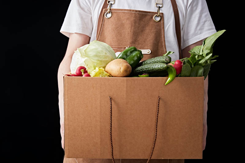 农场新鲜采摘蔬菜图片