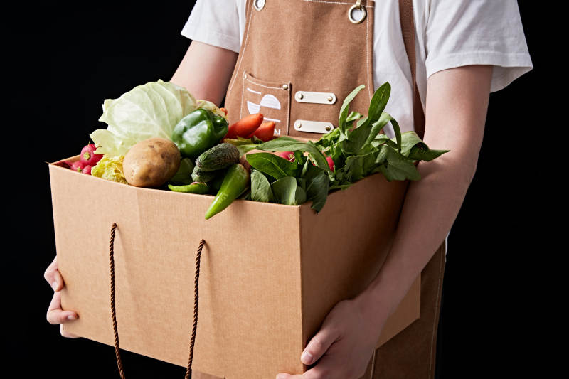 农场新鲜采摘蔬菜图片