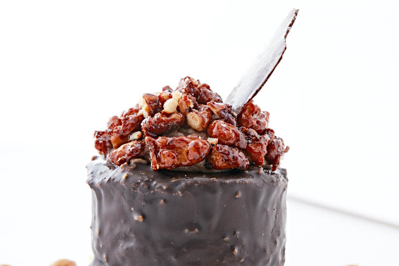 制作精美的法式小甜品蛋糕图片