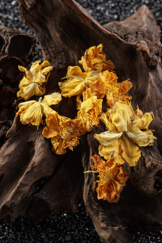 香气芬芳的沽源特产金莲花茶图片