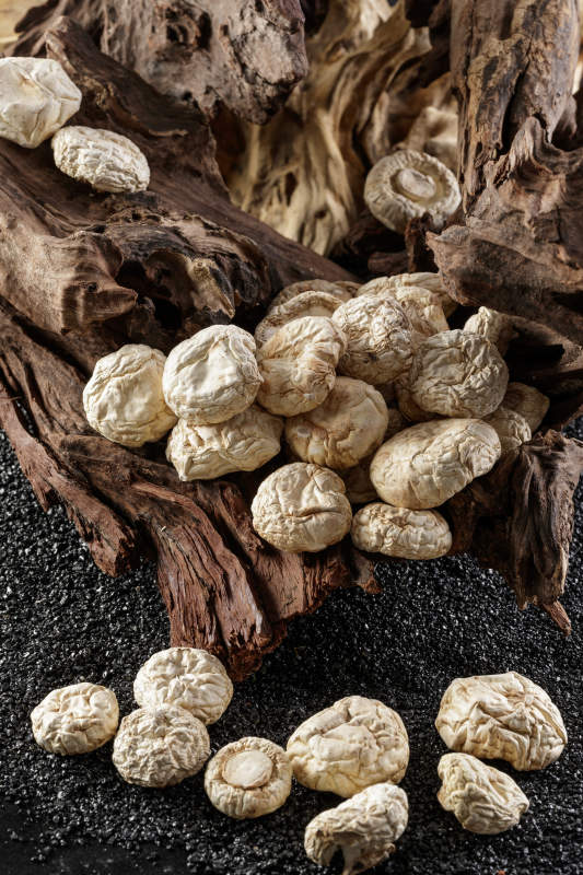 摆放在复杂背景上的坝上脱水干制口蘑图片