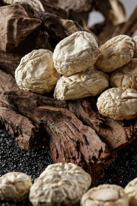 摆放在复杂背景上的坝上脱水干制口蘑图片