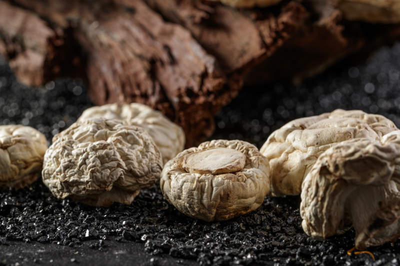 摆放在复杂背景上的坝上脱水干制口蘑图片