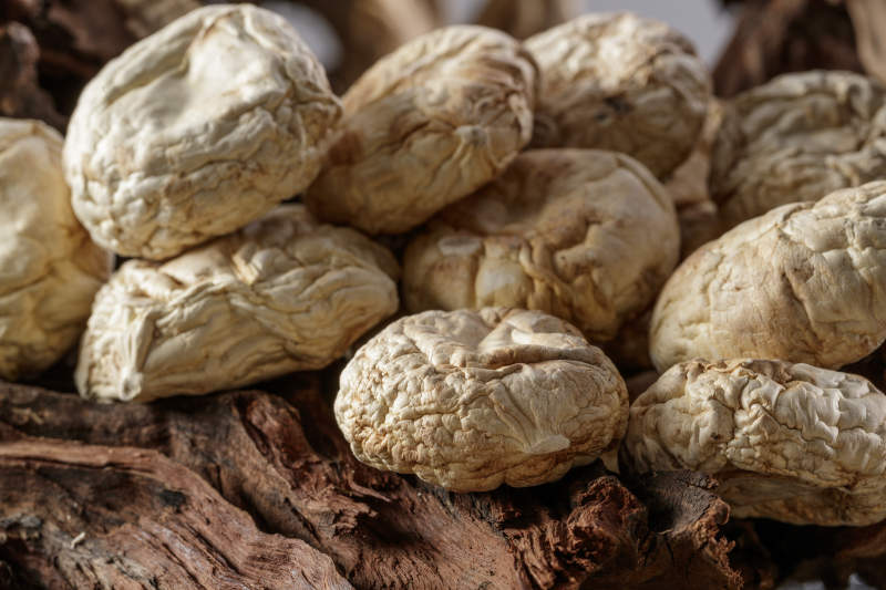 摆放在复杂背景上的坝上脱水干制口蘑图片