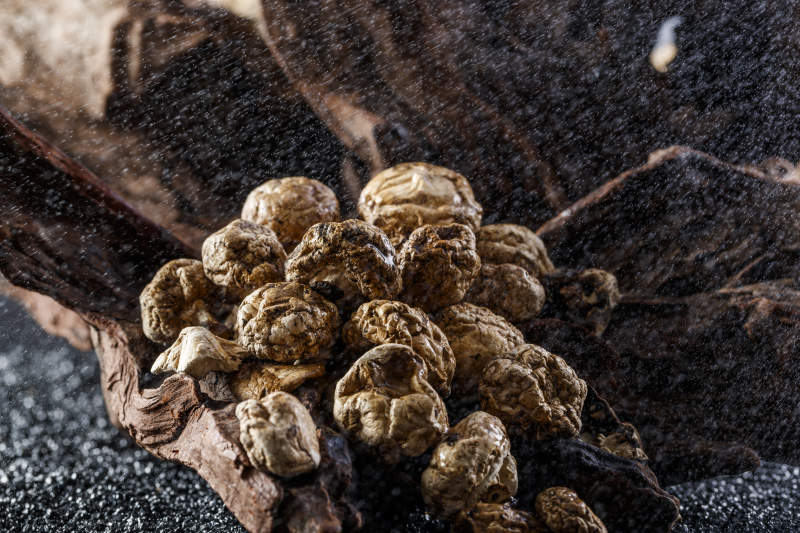 摆放在复杂背景上的坝上脱水干制口蘑图片