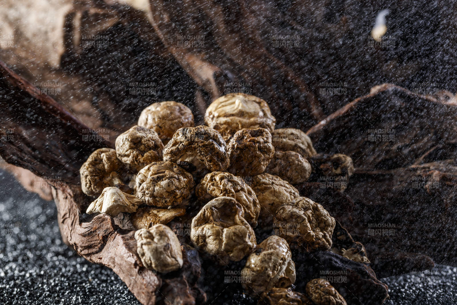 摆放在复杂背景上的坝上脱水干制口蘑图片