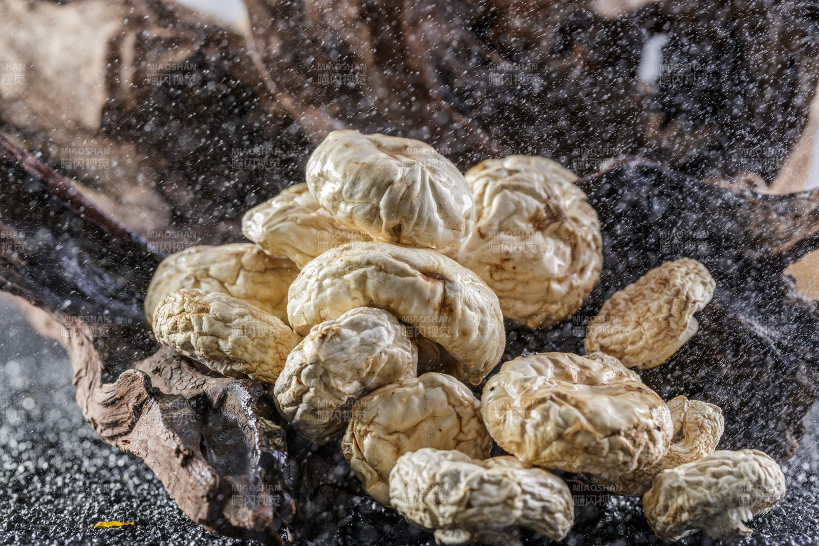 摆放在复杂背景上的坝上脱水干制口蘑图片