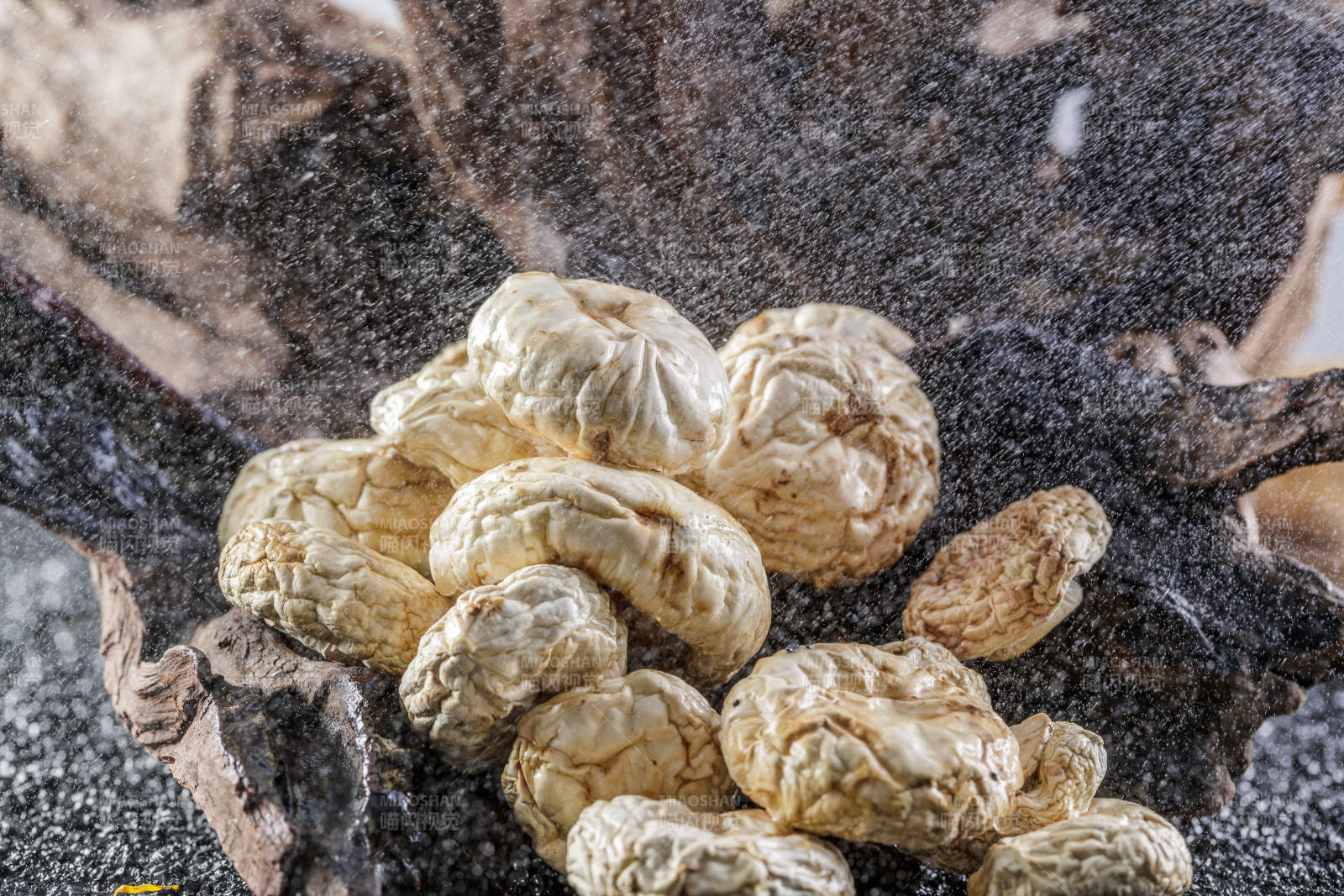 摆放在复杂背景上的坝上脱水干制口蘑图片