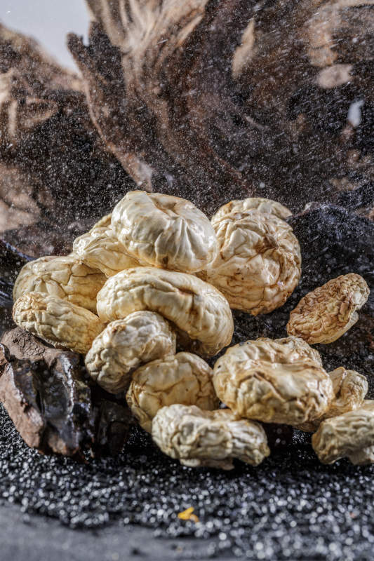 摆放在复杂背景上的坝上脱水干制口蘑图片