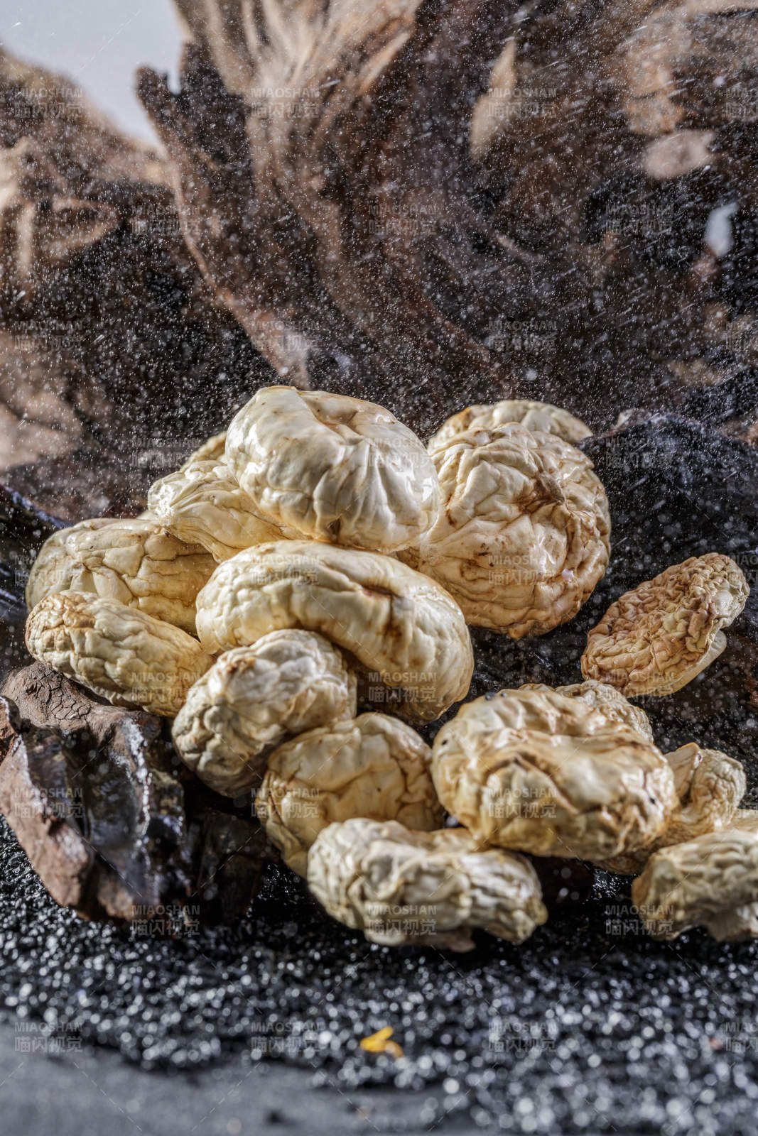 摆放在复杂背景上的坝上脱水干制口蘑图片