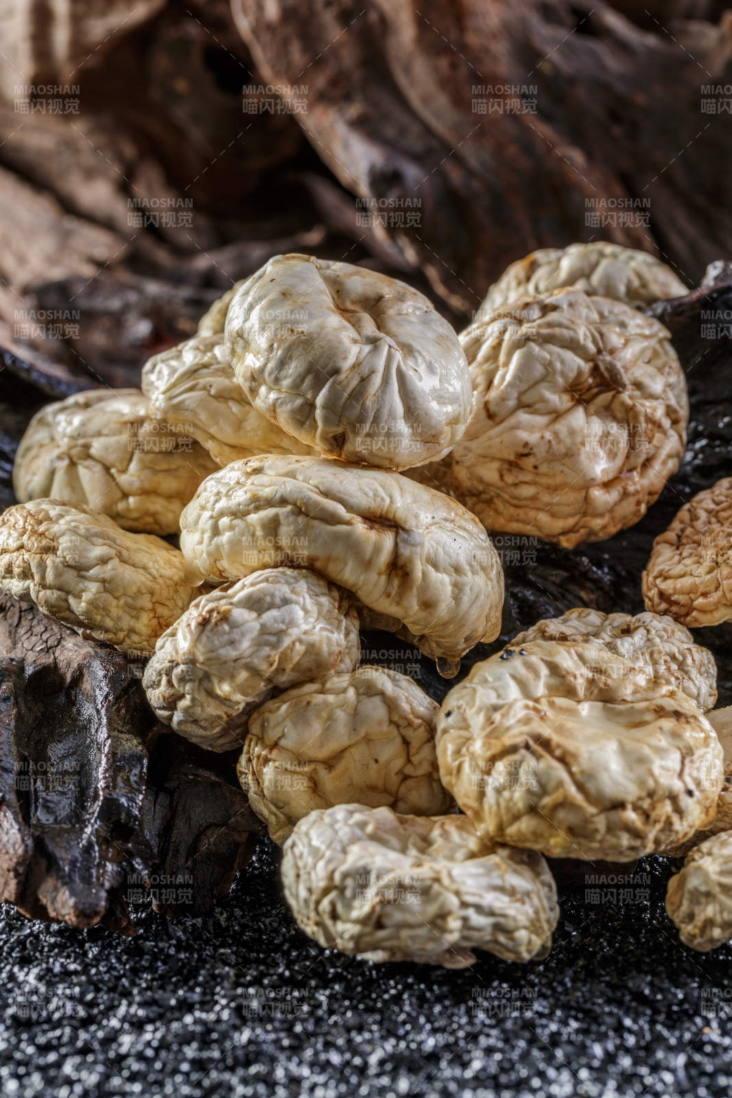 摆放在复杂背景上的坝上脱水干制口蘑图片