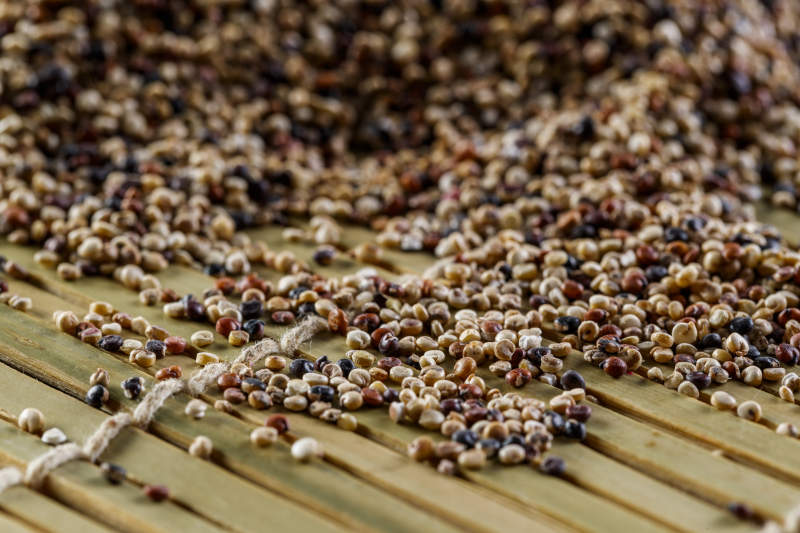 养生粗粮藜麦米图片