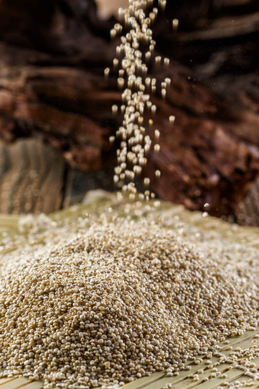 养生粗粮藜麦米图片